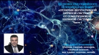 Видеовзгляд медицинского психолога на тему: «Отличие вегетативной нервной системы от соматической нервной системы. ч.1.