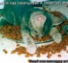 Синдром хронической усталости