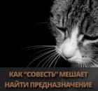 Как совесть мешает найти предназначение