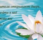 21 век — век решающего Выбора человечества…