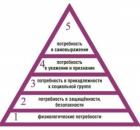 Основные потребности ребенка согласно пирамиды Маслоу