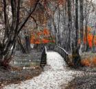 Осенние мотивы 