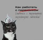 Работать с параноиком. Как?