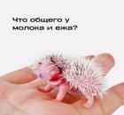 Характеристика шизоидной структуры личности