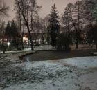 Присутствие и психологическая консультация.