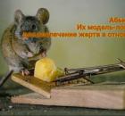 Абьюзеры. Их модель-ловушка: для вовлечение жертв в отношения