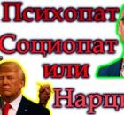 Нарцисс, психопат, социопат, истероид. Чем отличается их поведение? Сравнительный анализ