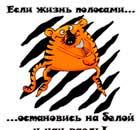 Позитивная психология в действии