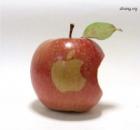 Apple и гомосексуализм