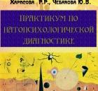 Практикум по патопсихологической диагностике