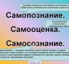 Цель жизни. Чего ищут люди и почему мало кто находит?