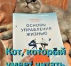 Кот, который умеет читать