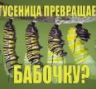 Пробуждение энергии Кундалини — непростая задача. Ключ к тайне...