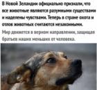Вы правда поверили, что мы уже цивилизованы? А если подумать?