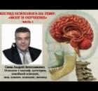 Видеовзгляд психолога на тему: «Мозг и обучение».ч.1.  