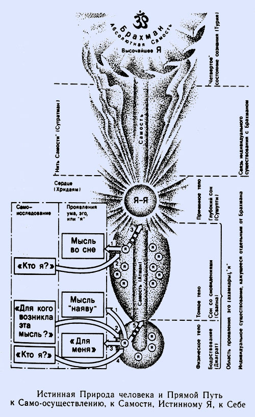 Эго ум. Истинная природа человека и прямой путь. Истинная природа человека. Весть истины и прямой путь к себе Рамана Махарши. Самость схема.