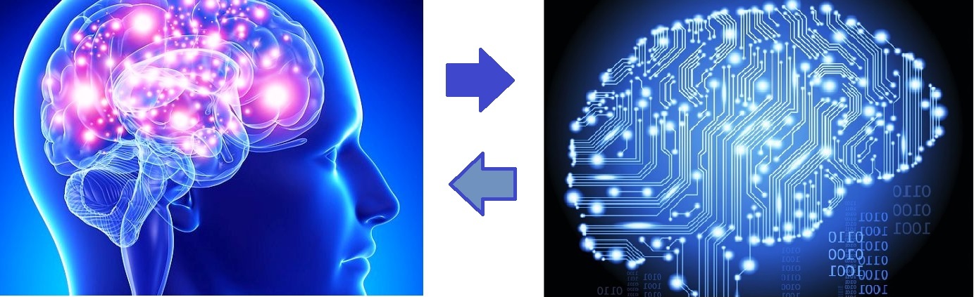 G brains. Мозг компьютера. Сходство мозга человека и компьютера. Мозг человека компьютер. Память человека и компьютера.
